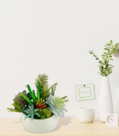 Nettenevime Yapay Çiçek Kaktüs Sukulent Aranjmanı Krem Renk Plastik Saksıda 10 adet Karışık Model Skulent - 5