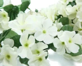 Nettenevime Yapay Çiçek Sarkan Begonvil Çiçeği  JUMBO BEYAZ thumbnail 2