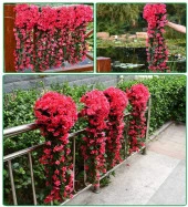 Nettenevime Yapay Çiçek Sarkan Begonvil Çiçeği  JUMBO FUŞYA thumbnail 2