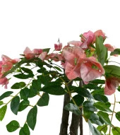 Nettenevime Yapay Ağaç Pembe Begonvil Ağacı 2Gövdeli Doğal Salex Dallar 2katlı 180cm thumbnail 7