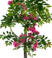Nettenevime Yapay Ağaç Fuşya Begonvil Ağacı 130cm Doğal Salex Dallı - 3