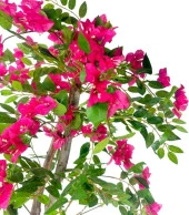 Nettenevime Yapay Ağaç Begonvil Ağacı Fuşya Bodrum Çiçeği Beyaz Kumsal Vazoda 150cm - 7