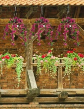 Nettenevime Yapay Çiçek Begonvil Fuşya Pembe Sarkaç Askılı Saksıda Balkon Çiçeği Çiçek Sepeti - 3