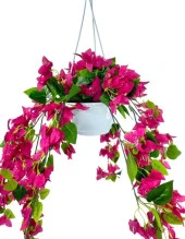 Nettenevime Yapay Çiçek Begonvil Fuşya Pembe Sarkaç Askılı Saksıda Balkon Çiçeği Çiçek Sepeti - 5