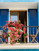 Nettenevime Yapay Çiçek Pembe Begonvil Küpeşte Askılı Saksıda Balkon Çiçeği Çiçek Sepeti thumbnail 2