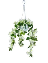 Nettenevime Yapay Çiçek Begonvil Beyaz Sarkaç Askılı Saksıda Balkon Çiçeği Çiçek Sepeti thumbnail 1