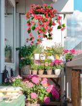 Nettenevime Yapay Çiçek Pembe Begonvil Küpeşte Askılı Saksıda Balkon Çiçeği Çiçek Sepeti thumbnail 3