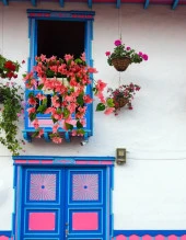 Nettenevime Yapay Çiçek Pembe Begonvil Küpeşte Askılı Saksıda Balkon Çiçeği Çiçek Sepeti thumbnail 7