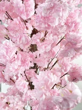 Nettenevime Yapay Ağaç Japon Kiraz Çiçeği Bahardalı Ağacı Gür Yapraklı Pembe 180cm thumbnail 2