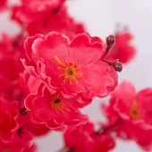 Nettenevime Yapay Çiçek Bahardalı Japon Kiraz Çiçeği 7 Dallı 57cm Fuşya thumbnail 4