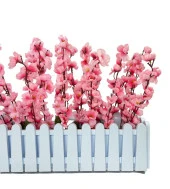 Nettenevime Yapay Çiçek Beyaz Çit Balkon Saksısı Pembe Bahardalı 55*20cm thumbnail 5