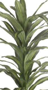 Nettenevime Yapay Çiçek Yukka Ağacı Yapay Ağaç Ofis Ev İçin Dekoratif Ağaç 145 cm - 2