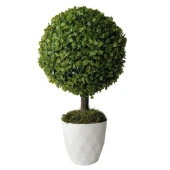 Nettenevime Yapay Ağaç Şimşir Top Tek Toplu 28cmx50cm thumbnail 1