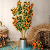 Nettenevime Yapay Ağaç Mandalina Ağacı 75CM Gür Yapraklı Gümüş Paslanmaz Aleminyum Saksılı thumbnail 1