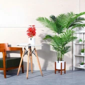 Nettenevime Yapay Ağaç Areka Ağacı Palmiye Ağacı Salon Bitkisi 150cm - 5