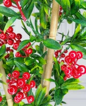 Nettenevime Yapay Ağaç Kokina Ağacı 75CM Gür Yapraklı Gümüş Paslanmaz Aleminyum Saksılı thumbnail 3