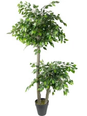 Nettenevime Yapay Ağaç 2 Katlı Benjamin Siyah Plastik Saksıda 190 cm 1.Kalite Yapay Çiçek Dekoru thumbnail 1