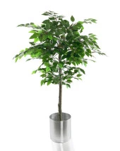 Nettenevime Yapay Ağaç Benjamin 120 cm 1.Kalite Paslanmaz Saksıda Yapay Çiçek Dekoru thumbnail 1