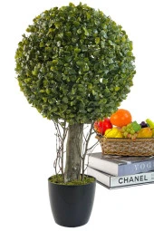 Yapay Ağaç Şimşir Top Tek Toplu 28x48cm Siyah Saksılı - 2