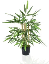 Nettenevime Yapay Ağaç Bambu Ağacı 4 Gövdeli 50X35 Siyah Plastik Saksılı thumbnail 1