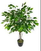 Nettenevime Yapay Ağaç Benjamin 2 Gövdeli Çalılı 90*60cm Siyah Plastik Saksılı thumbnail 4