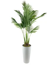 Nettenevime Yapay Ağaç Areka Ağacı Beyaz Uzun Kumsal Vazoda Palmiye Ağacı Yapay Areka 190cm thumbnail 2