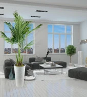 Nettenevime Yapay Ağaç Areka Ağacı Beyaz Uzun Kumsal Vazoda Palmiye Ağacı Yapay Areka 190cm thumbnail 4