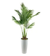 Nettenevime Yapay Ağaç Areka Ağacı Beyaz Uzun Kumsal Vazoda Palmiye Ağacı Yapay Areka 190cm thumbnail 6