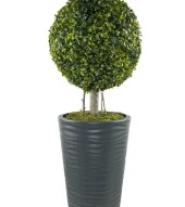 Nettenevime Yapay Ağaç Antrasit Uzun Kumsal Vazoda Şimşir Top Tek Toplu 105cm - 2