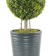 Nettenevime Yapay Ağaç Antrasit Uzun Kumsal Vazoda Şimşir Top Tek Toplu 105cm - 3