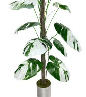 Nettenevime Yapay Ağaç Beyaz Monstera 18 Dallı Çalılı Gövde 120x60cm Gümüş Aleminyum Saksıda thumbnail 6