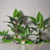 Nettenevime Yapay Ağaç Dev Fil Kulağı Taro Ağacı 170 cm 11 yaprak - 7