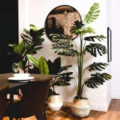 Nettenevime Yapay Ağaç Monstera Deve Tabanı Ağacı 170 cm 11 Yaprak thumbnail 4
