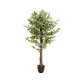 Yapay Ağaç Benjamin Yeşilbeyaz 2 Gövdeli Çalılı 165*80cm Siyah Plastik Saksılı - 1