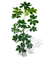 Nettenevime Yapay Ağaç Şeflera 18 Dallı Çalılı Gövde 120x60cm Gümüş Aleminyum Saksıda thumbnail 1