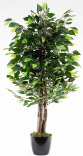 Yapay Ağaç Benjamin Yeşil 2 Gövdeli 110*70cm Siyah Plastik Saksılı - 1
