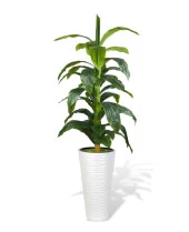 Nettenevime Yapay Ağaç Yukka Kılıç Çiçeği Beyaz Kumsal Vazoda 185*70 35 Yaprak thumbnail 1