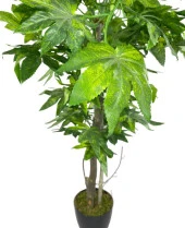 Nettenevime Yapay Ağaç Yeşil Çınar Ağacı100x70cm Siyah Plastik Saksılı thumbnail 5