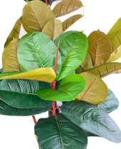 Nettenevime Yapay Ağaç Kauçuk Ağacı Ficus Elastica  Salon Çiçeği 150*90 Doğal Gövdeli 61 Yaprak thumbnail 7