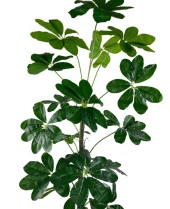 Nettenevime Yapay Ağaç Şeflera 18 Dallı Çalılı Gövde 120x60cm Gümüş Aleminyum Saksıda thumbnail 4