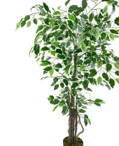 Nettenevime Yapay Ağaç Benjamin 120cm Yeşilbeyaz Çalılı Siyah Plastik Saksılı thumbnail 5