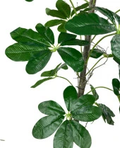 Nettenevime Yapay Ağaç Şeflera 18 Dallı Çalılı Gövde 120x60cm Gümüş Aleminyum Saksıda thumbnail 6