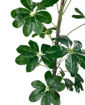 Nettenevime Yapay Ağaç Şeflera 18 Dallı Çalılı Gövde 120x60cm Gümüş Aleminyum Saksıda thumbnail 7