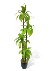 Nettenevime Yapay Ağaç Yukka 4Katlı 180cm 48 Yaprak Salon Çiçeği Yapay Çiçek thumbnail 1