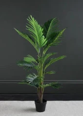 Nettenevime Yapay Ağaç Areka Ağacı Palmiye Ağacı Salon Bitkisi 140cm Siyah Saksılı thumbnail 1