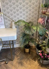 Nettenevime Yapay Ağaç Areka Ağacı Palmiye Ağacı Salon Bitkisi 140cm Siyah Saksılı thumbnail 7