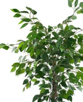 Nettenevime Yapay Ağaç Benjamin Yeşil SAlex Dallı 110*70cm Siyah Plastik Saksılı thumbnail 2