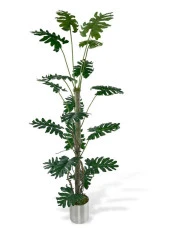 Nettenevime Yapay Ağaç Syngonium plants 18 Dallı Çalılı Gövde 120x60cm Gümüş Aleminyum Saksıda thumbnail 1