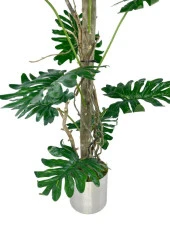 Nettenevime Yapay Ağaç Syngonium plants 18 Dallı Çalılı Gövde 120x60cm Gümüş Aleminyum Saksıda thumbnail 4