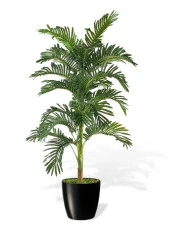 Nettenevime Yapay Ağaç Areka 150cm Gür Yapraklı Siyah Plastik Yakut Saksıda - 2